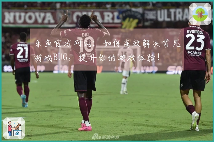 乐鱼官方网站：如何高效解决常见游戏BUG，提升你的游戏体验！