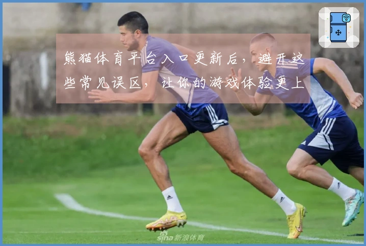 熊猫体育平台入口更新后，避开这些常见误区，让你的游戏体验更上一层楼